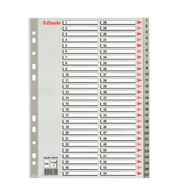 Przekładki plastikowe Esselte A4 1-54 szare