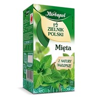 Herbata Herbapol mięta 20szt.